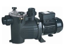 Zelfaanzuigende zwembadpompen