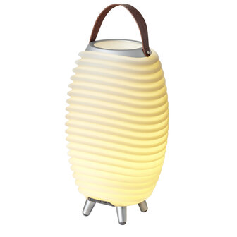 Kooduu Synergy 35 -  Wijnkoeler met Bluetooth speaker en LED lamp