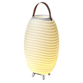 Kooduu Synergy 50 -  Wijnkoeler met Bluetooth speaker en LED lamp